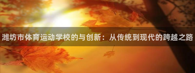 vsport体育官方正版app娱乐网站：潍坊市体育运