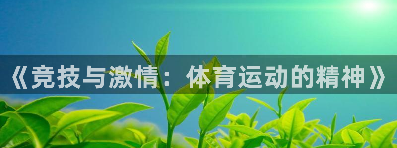 vsport体育官方正版app开户：《竞技与激情：体