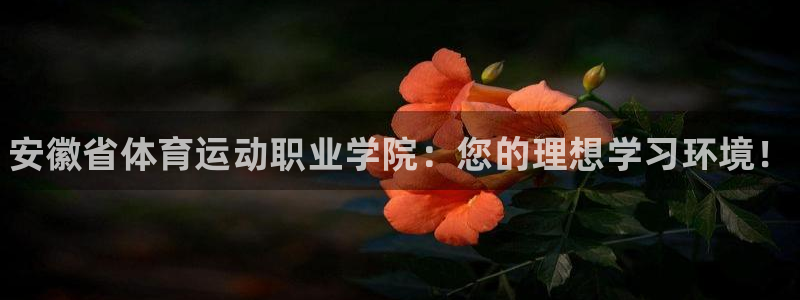 海南vsport体育官网下载发展怎么样：安徽省体育运