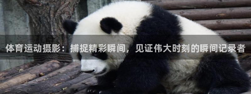 vsport体育官方平台体育：体育运动摄影：捕捉精彩