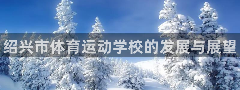 vsport体育官方正版app科技：绍兴市体育运动学