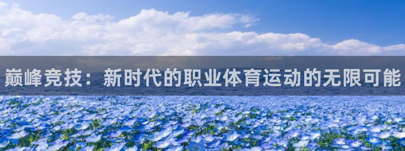 vsport体育官方正版app娱乐：巅峰竞技：新时代的职业体