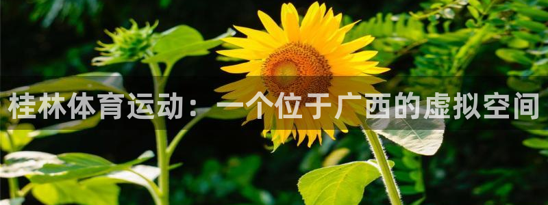 vsport体育官网下载招商电话是多少啊：桂林体育运