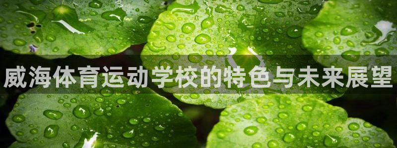 vsport体育官网下载是干嘛的公司：威海体育运动学