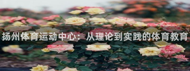 德国vsport体育官方正版app集团：扬州体育运动
