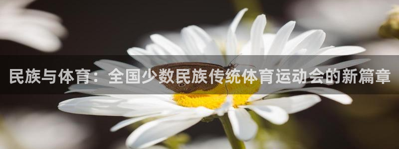 vsport体育官网下载招商电话：民族与体育：全国少