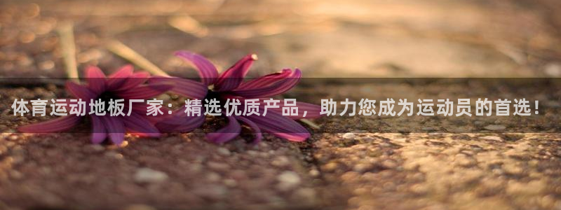 vsport体育官方正版app官网：体育运动地板厂家：精选优