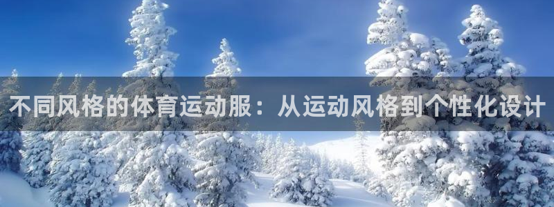 vsport体育官网下载平台注册要钱吗：不同风格的体