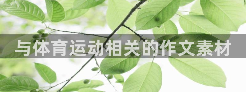海南vsport体育官网下载发展怎么样：与体育运动相