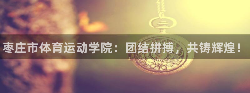 vsport体育官网下载招商电话：枣庄市体育运动学院