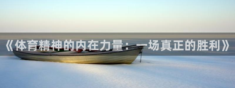 vsport体育官方正版app官网：《体育精神的内在