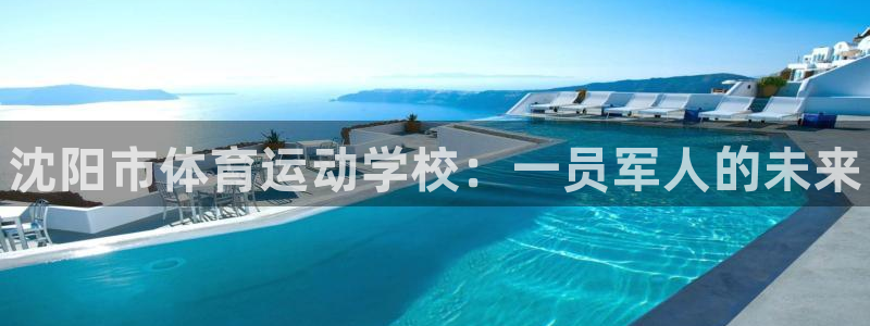 vsport体育官网下载平台注册流程视频：沈阳市体育