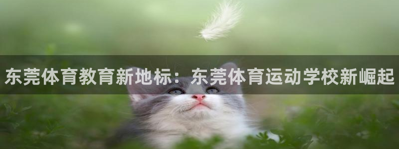 vsport体育官网下载官方客服电话：东莞体育教育新地标：东