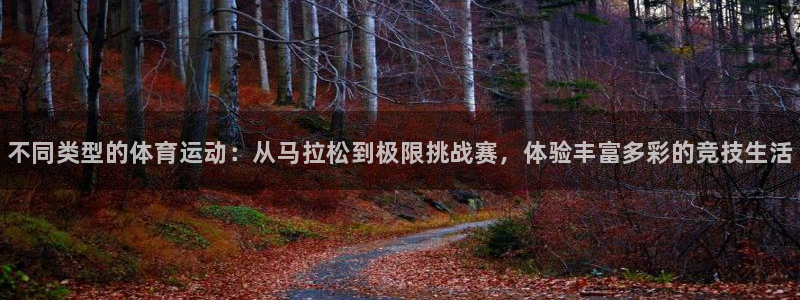 vsport体育官网下载招商电话：不同类型的体育运动