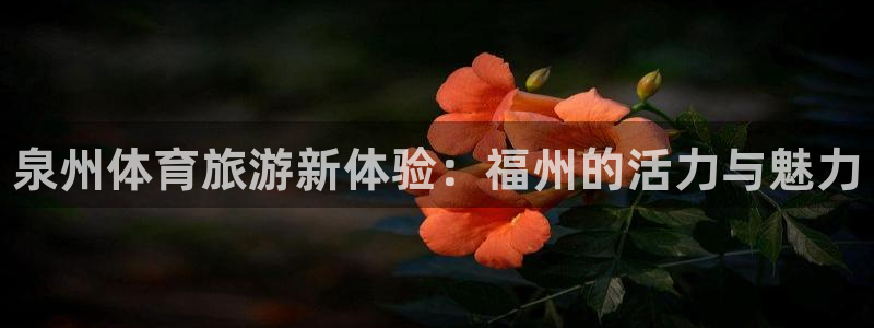 vsport体育官网下载招商电话号码是多少号：泉州体