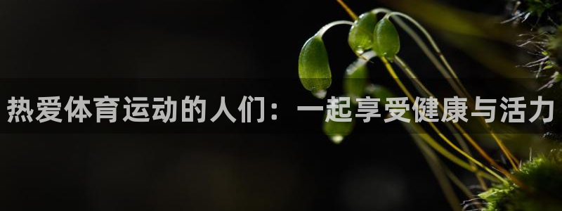 vsport体育官网下载平台假的吗是真的吗：热爱体育
