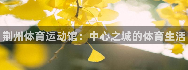 vsport体育官网下载平台注册要钱吗是真的吗：荆州