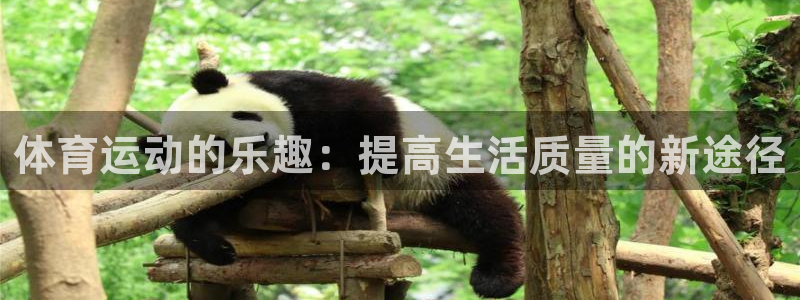 vsport体育官网下载招商：体育运动的乐趣：提高生