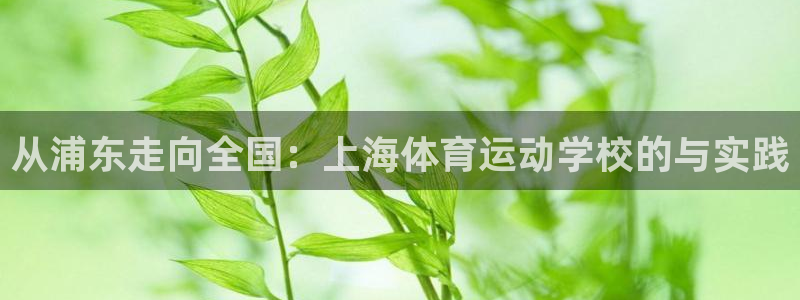 vsport体育官网下载招商：从浦东走向全国：上海体