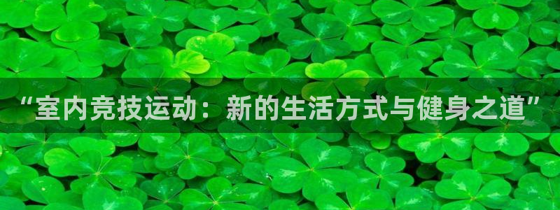 vsport体育官方正版app娱乐平台：“室内竞技运