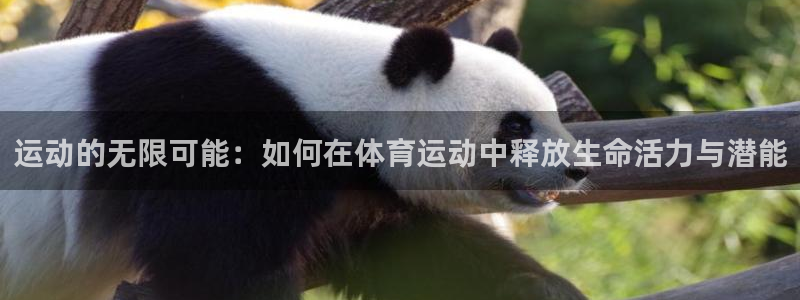 vsport体育官网下载平台注册流程视频：运动的无限可能：如