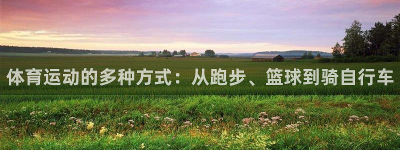 vsport体育官方正版app官方：体育运动的多种方式：从跑
