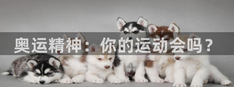 vsport体育官网下载平台是正规平台吗知乎：奥运精