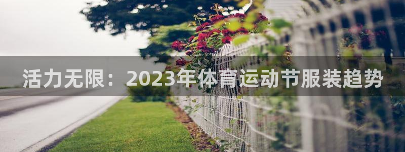 vsport体育官网下载平台是正规平台吗安全吗：活力无限：2