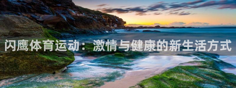 vsport体育官方正版app娱乐平台：闪鹰体育运动：激情与