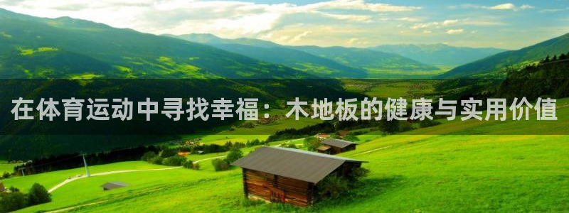 vsport体育官方正版app集团官网网址：在体育运