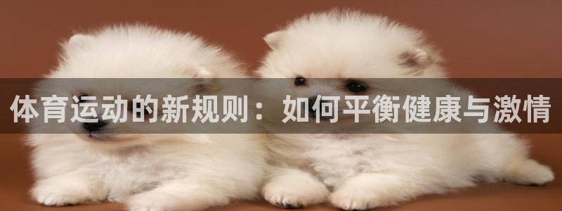 vsport体育官网下载官方客服电话：体育运动的新规