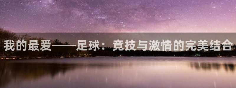 vsport体育官网下载是干嘛的公司：我的最爱——足