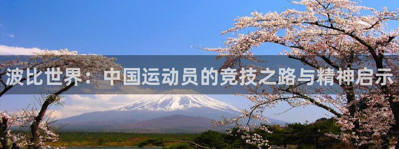 vsport体育官网下载平台注册流程视频：波比世界：