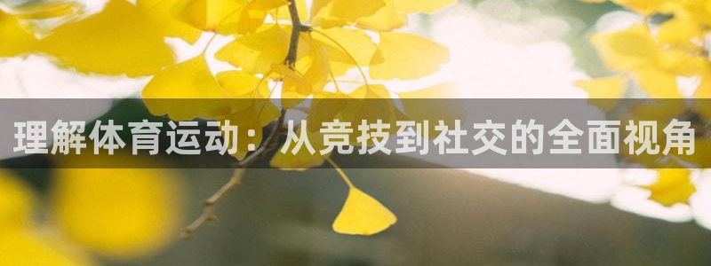 vsport体育官网下载招商电话号码查询是多少：理解体育运动