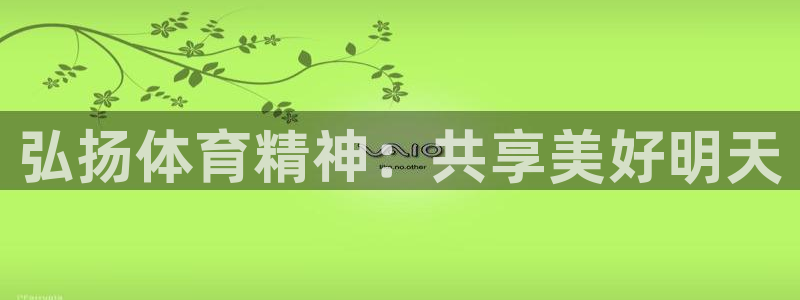 vsport体育官方正版app集团官网网址：弘扬体育精神：共