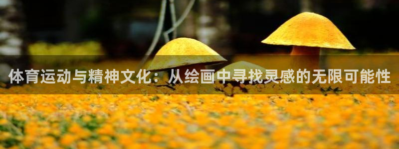 vsport体育官网下载官方客服电话：体育运动与精神文化：从